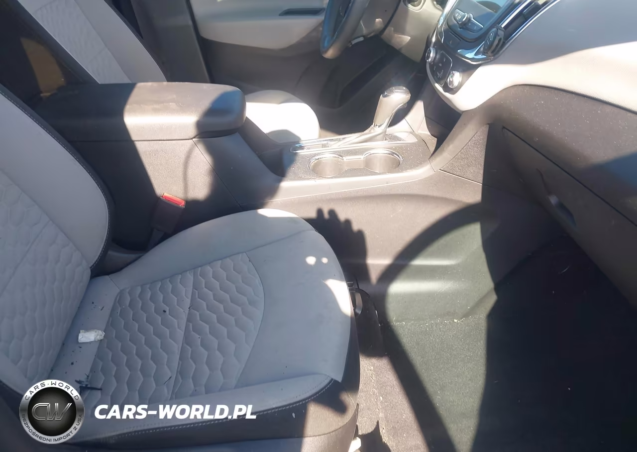 2019 Chevrolet Equinox Ls VIN:3GNAXHEV8KL330887 - 5