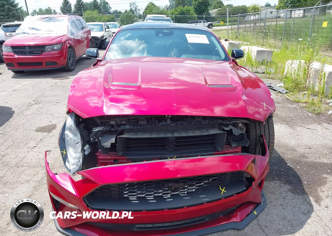2021 Ford Mustang Ecoboost Premium Fastback VIN:1FA6P8TH3M5132688 - 12