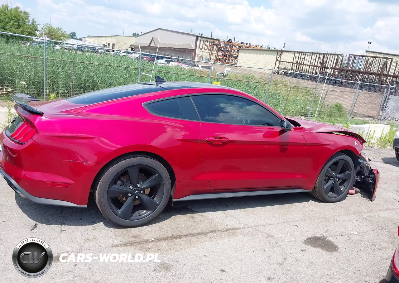 2021 Ford Mustang Ecoboost Premium Fastback VIN:1FA6P8TH3M5132688 - 13