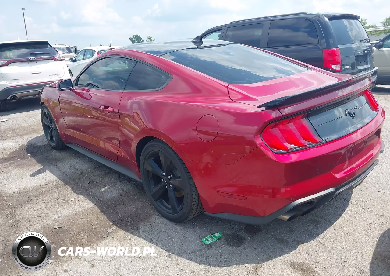 2021 Ford Mustang Ecoboost Premium Fastback VIN:1FA6P8TH3M5132688 - 3