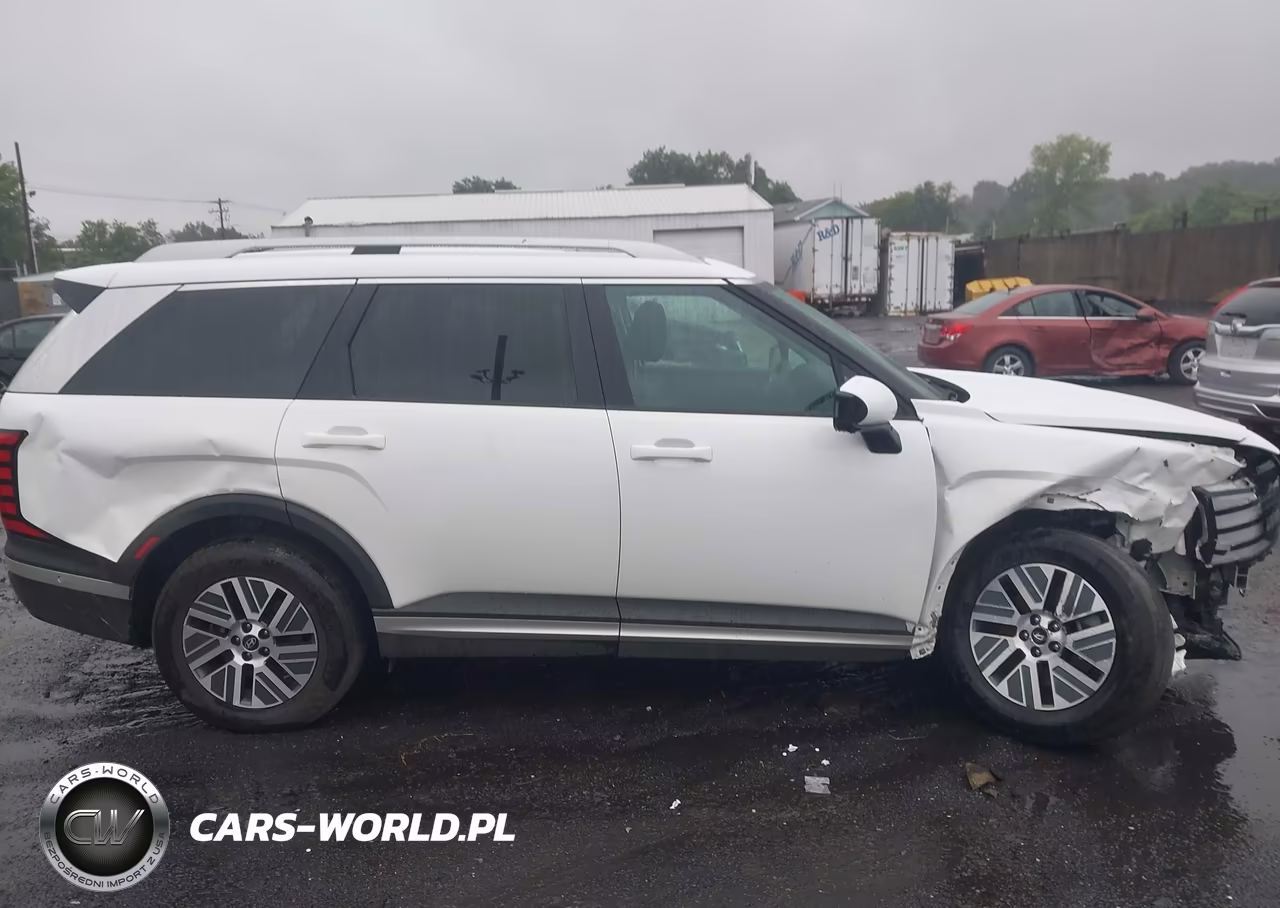 2026 Hyundai Palisade Hev Sel Premium 8P VIN:KM8RHESAXTU038251 - 13