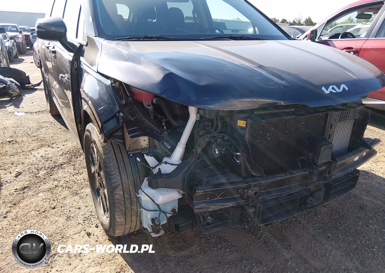 2026 Kia Carnival Mpv Hybrid Lxs VIN:KNDNB5KA8T6118916 - 19