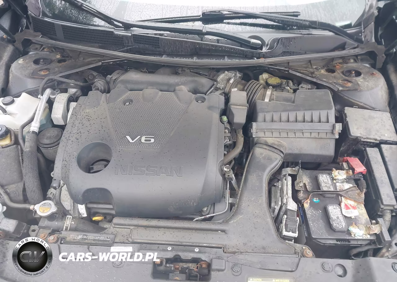 2016 Nissan Maxima 3.5 Sv VIN:1N4AA6APXGC441682 - 10