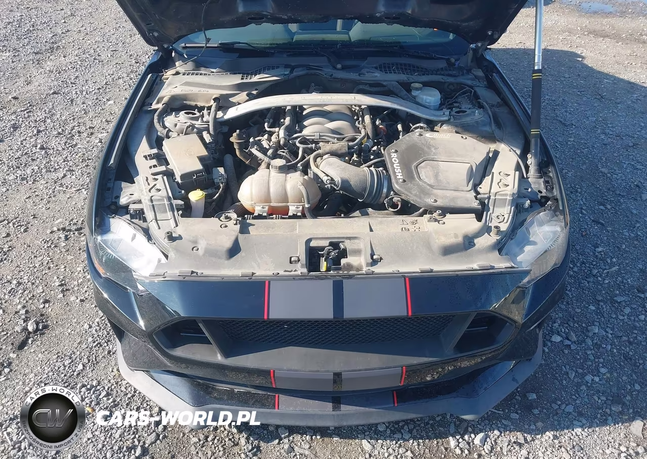 2019 Ford Mustang Gt VIN:1FA6P8CF4K5173505 - 10