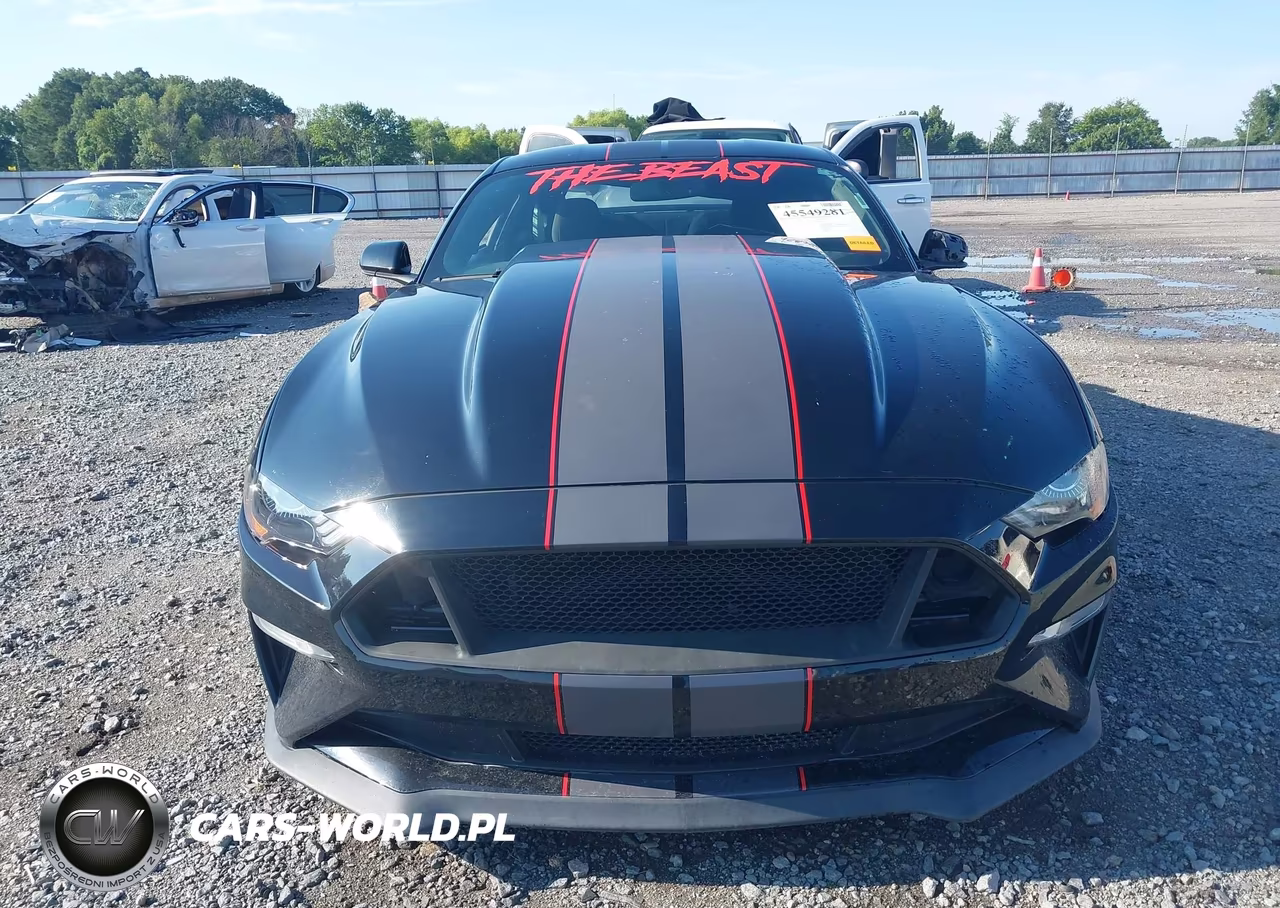 2019 Ford Mustang Gt VIN:1FA6P8CF4K5173505 - 12