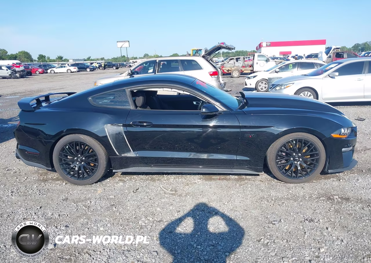 2019 Ford Mustang Gt VIN:1FA6P8CF4K5173505 - 13