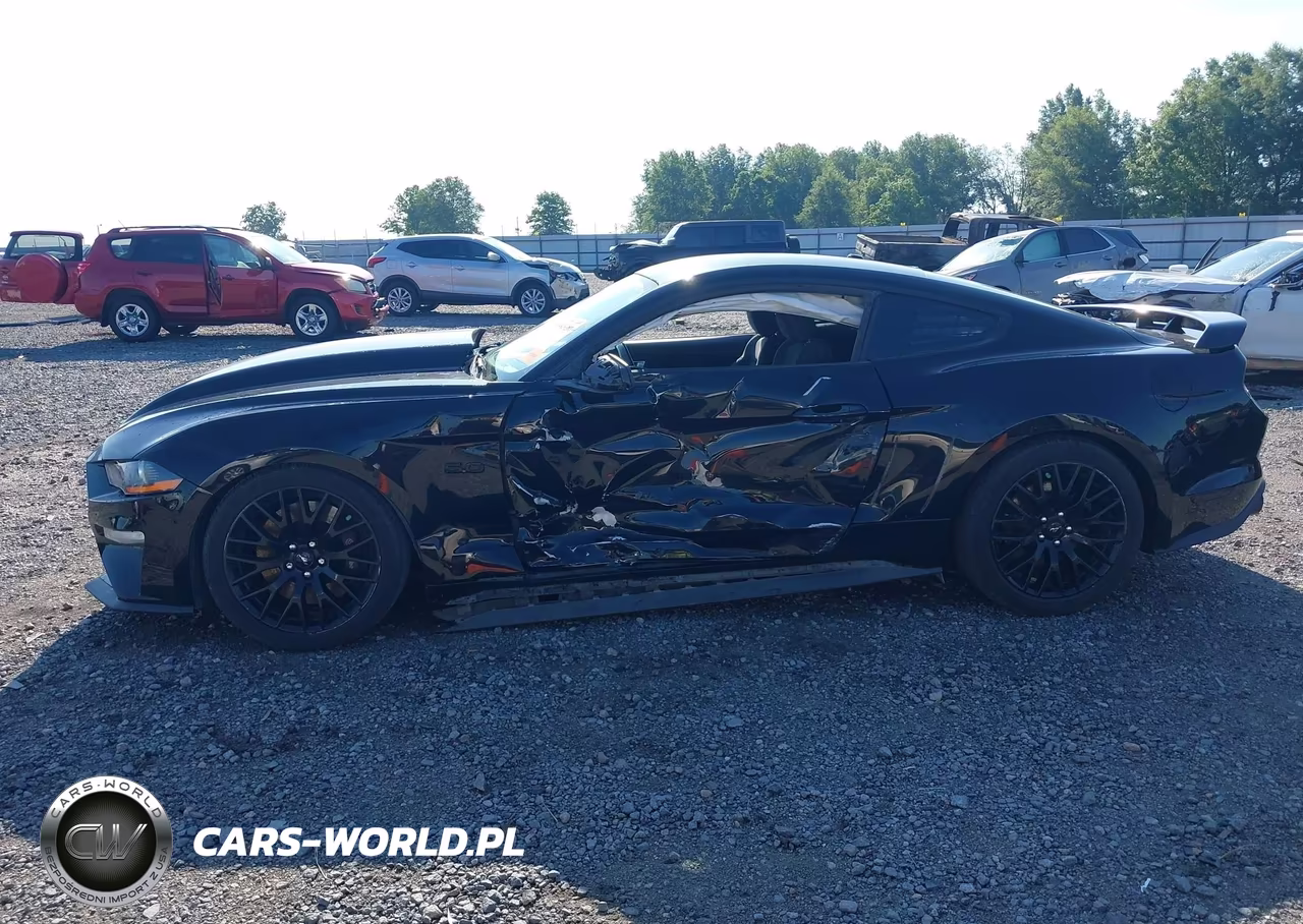 2019 Ford Mustang Gt VIN:1FA6P8CF4K5173505 - 14