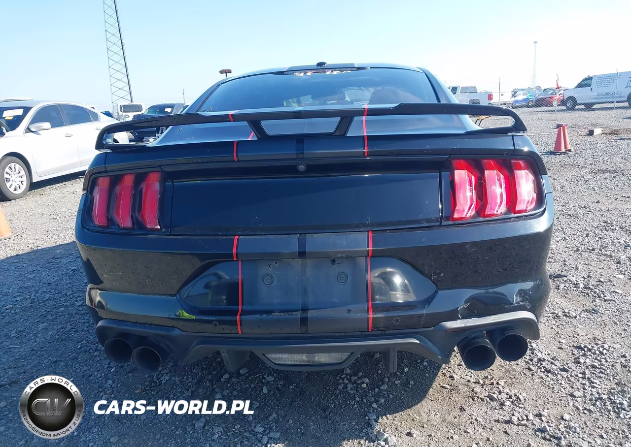 2019 Ford Mustang Gt VIN:1FA6P8CF4K5173505 - 16