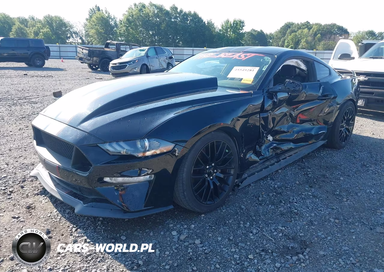 2019 Ford Mustang Gt VIN:1FA6P8CF4K5173505 - 2