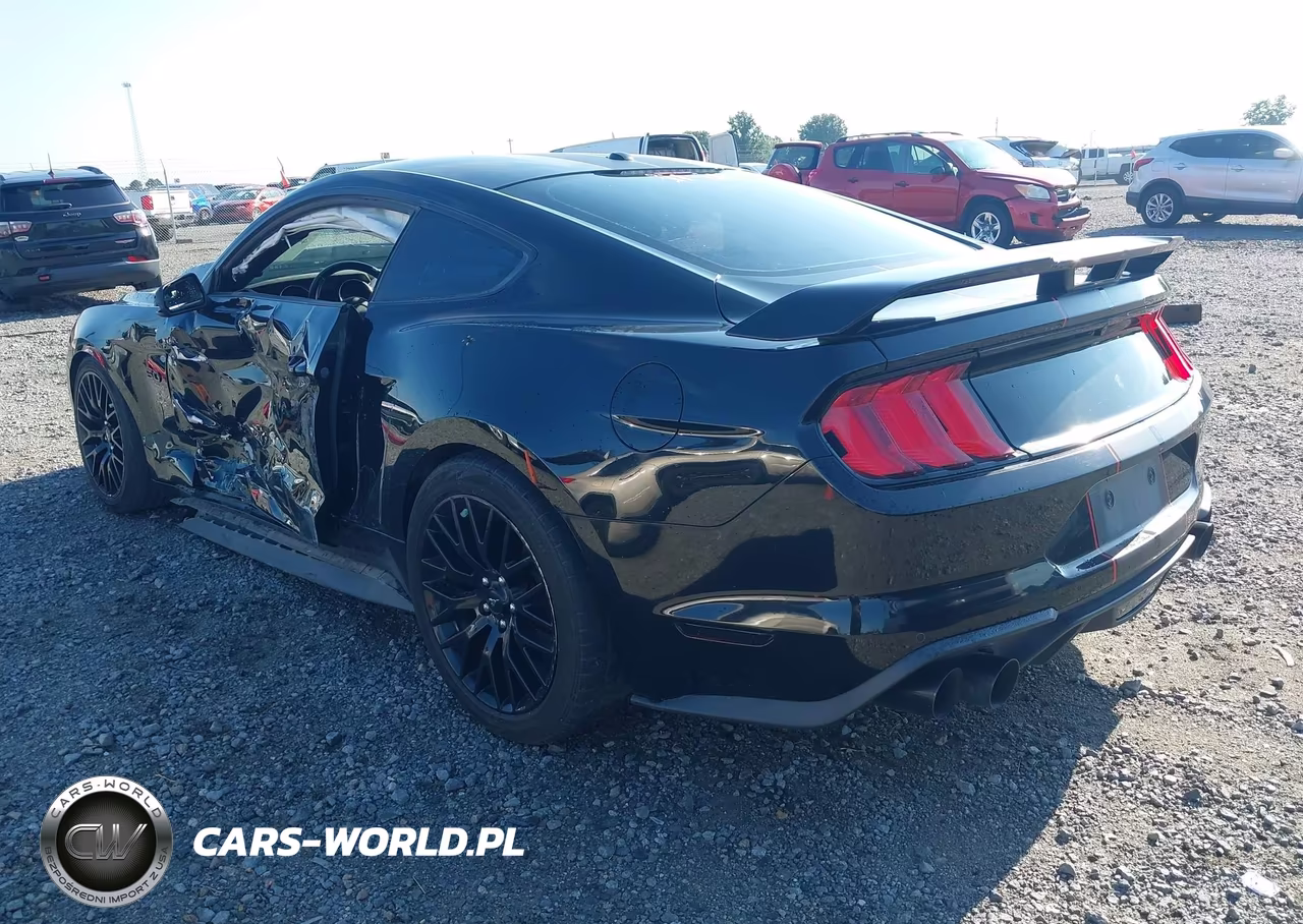 2019 Ford Mustang Gt VIN:1FA6P8CF4K5173505 - 3