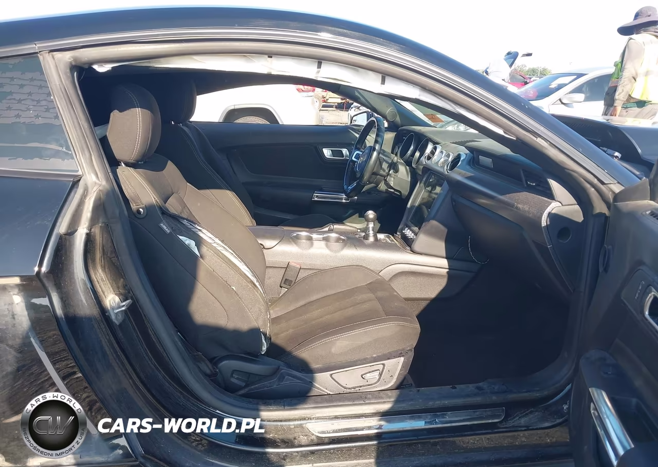 2019 Ford Mustang Gt VIN:1FA6P8CF4K5173505 - 5