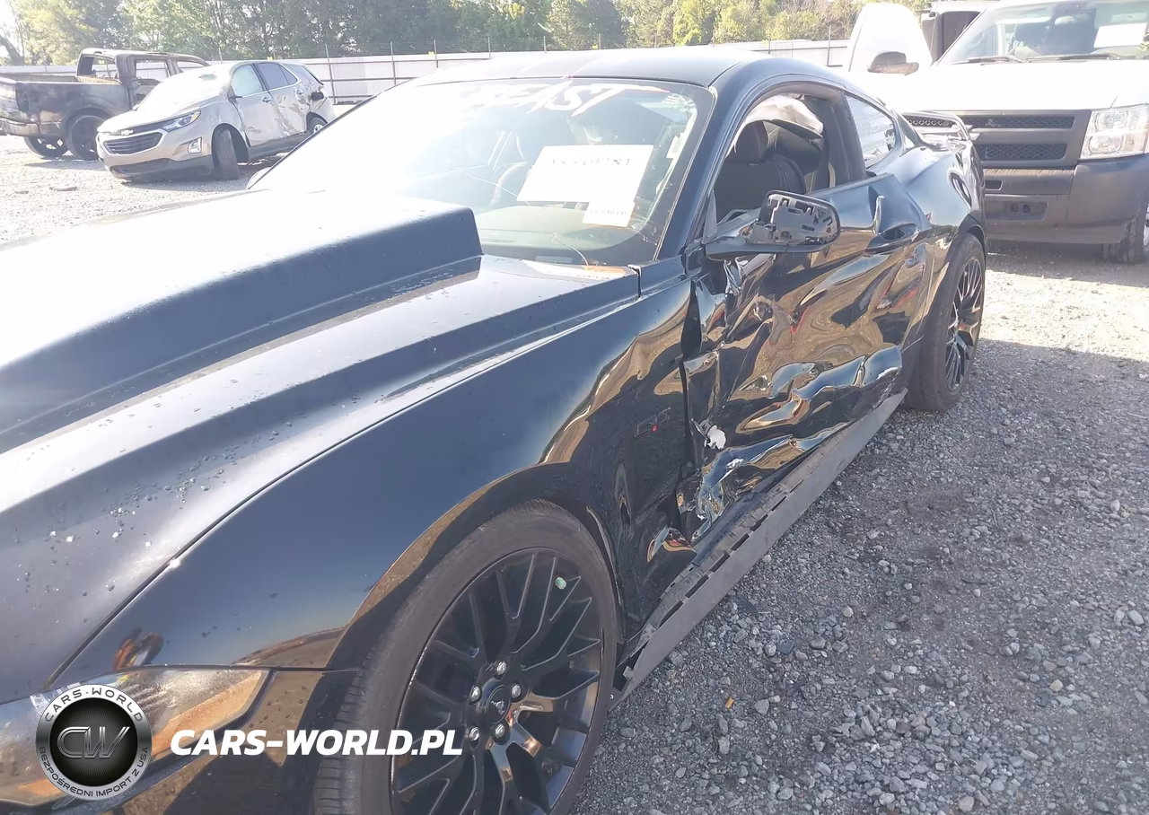 2019 Ford Mustang Gt VIN:1FA6P8CF4K5173505 - 6