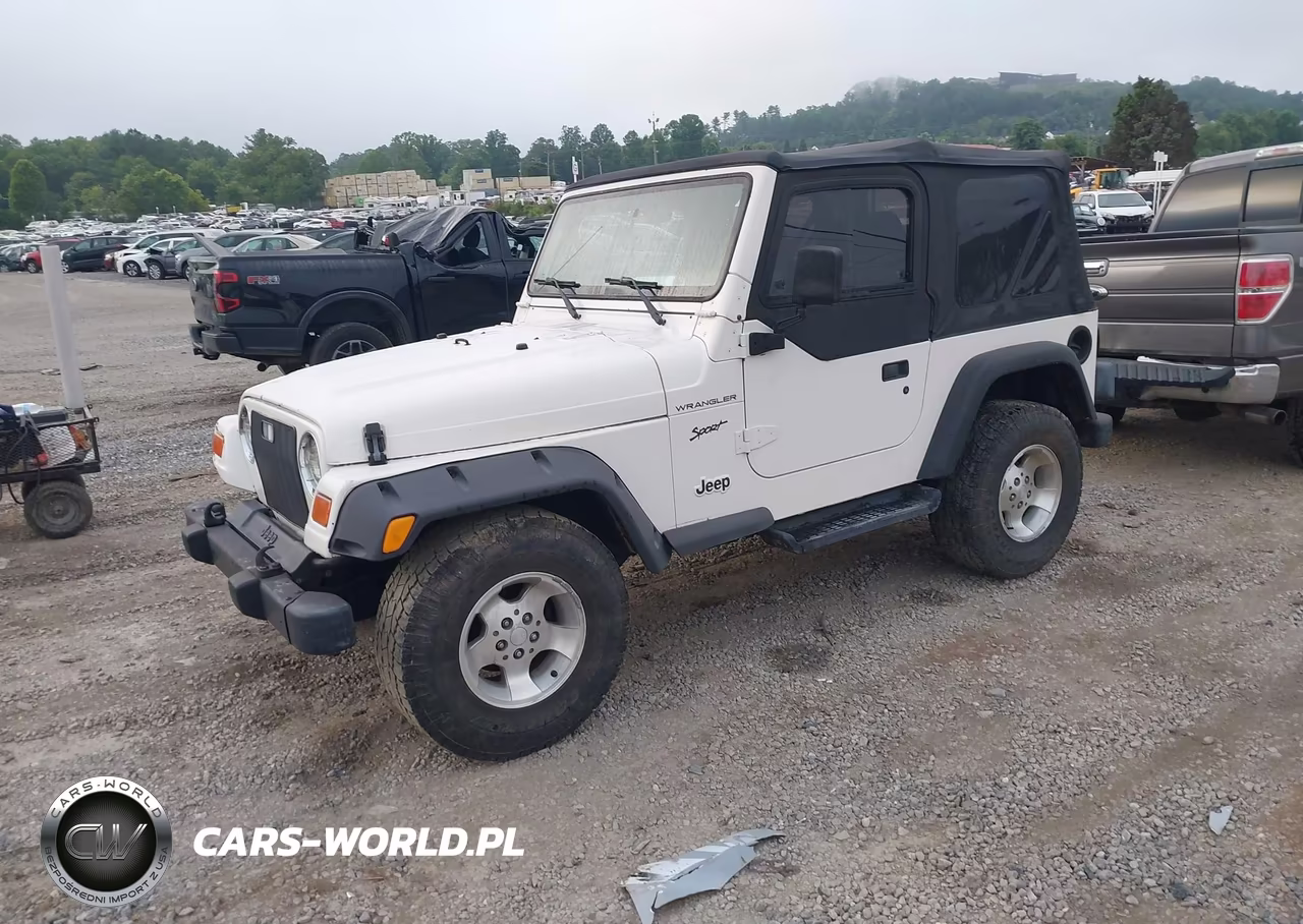 2002 Jeep Wrangler Sport VIN:1J4FA49S52P702807 - 2