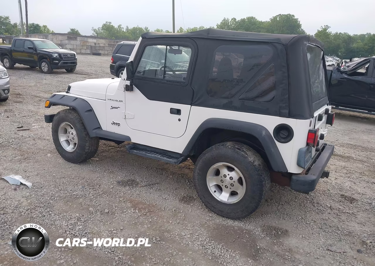 2002 Jeep Wrangler Sport VIN:1J4FA49S52P702807 - 3