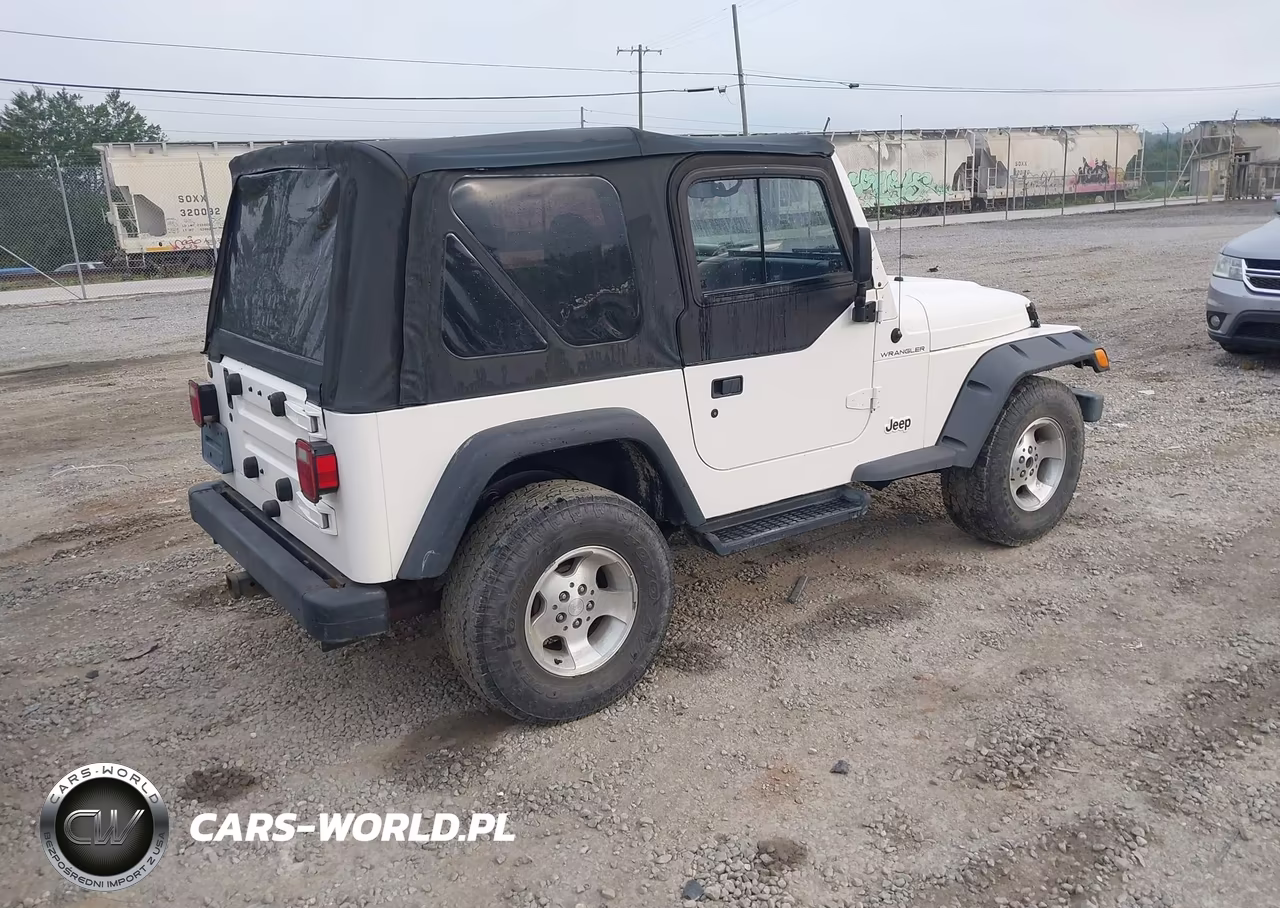 2002 Jeep Wrangler Sport VIN:1J4FA49S52P702807 - 4