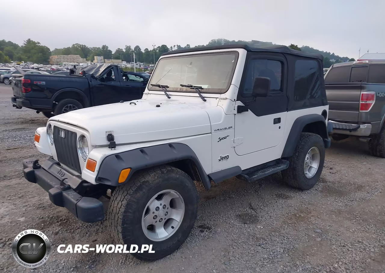 2002 Jeep Wrangler Sport VIN:1J4FA49S52P702807 - 6