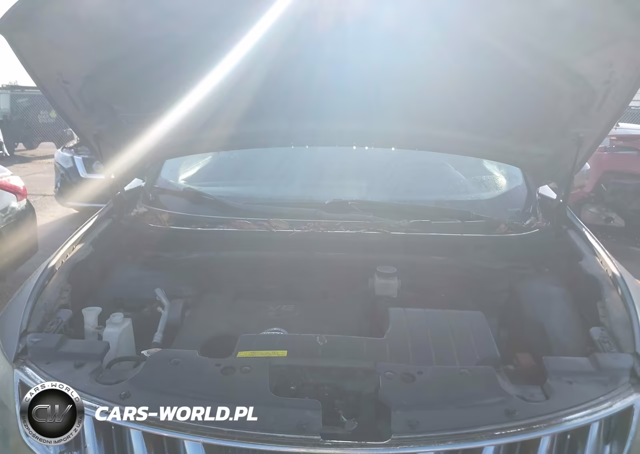 2010 Nissan Murano Le VIN:JN8AZ1MUXAW012365 - 10