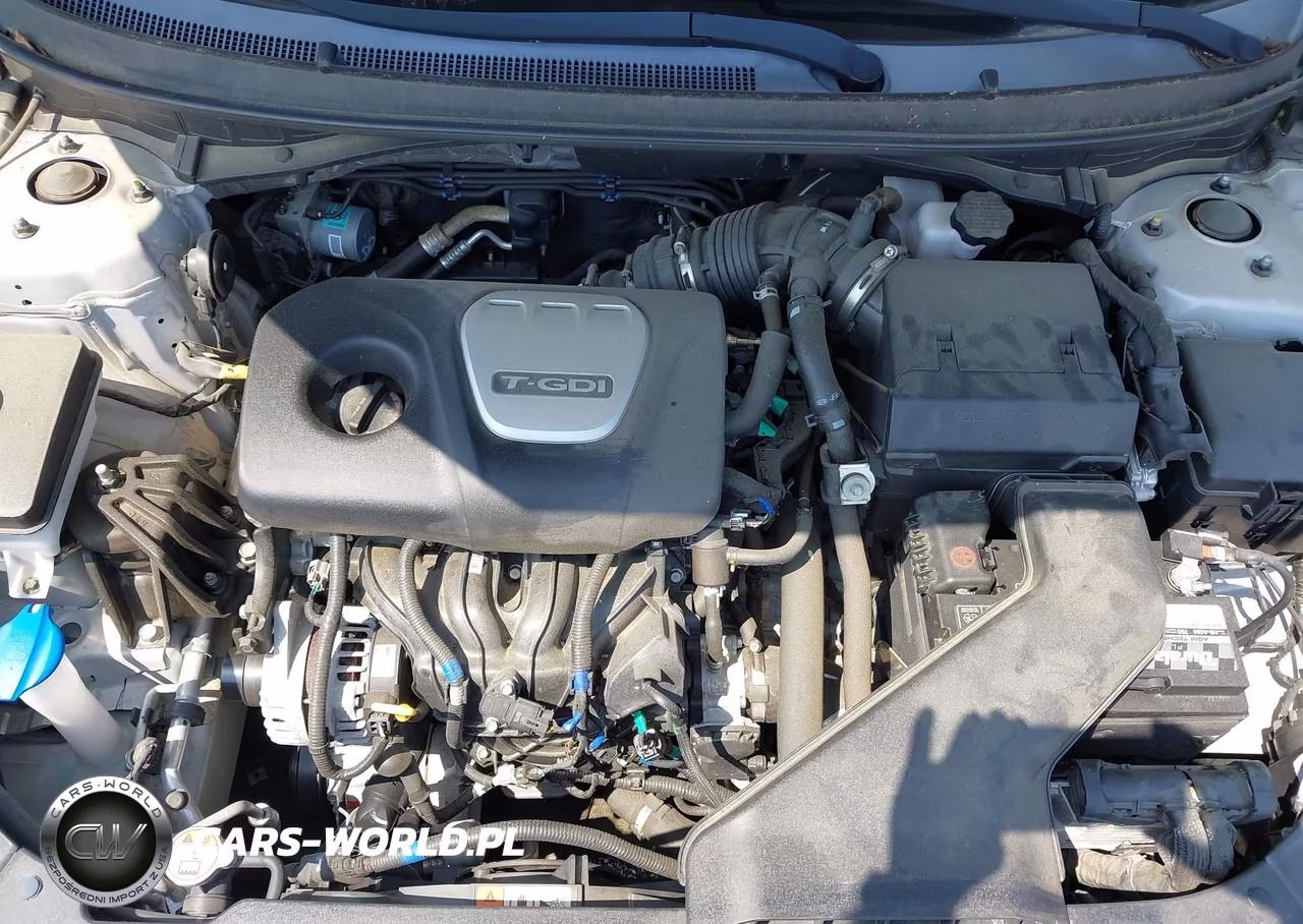 2019 Hyundai Sonata Eco VIN:5NPE24AA1KH803159 - 10