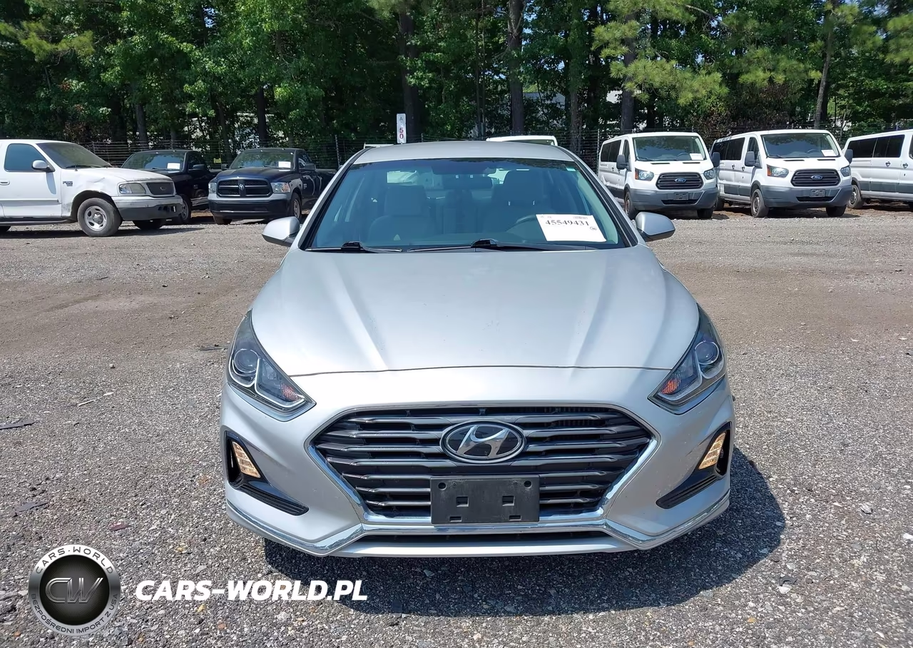 2019 Hyundai Sonata Eco VIN:5NPE24AA1KH803159 - 12