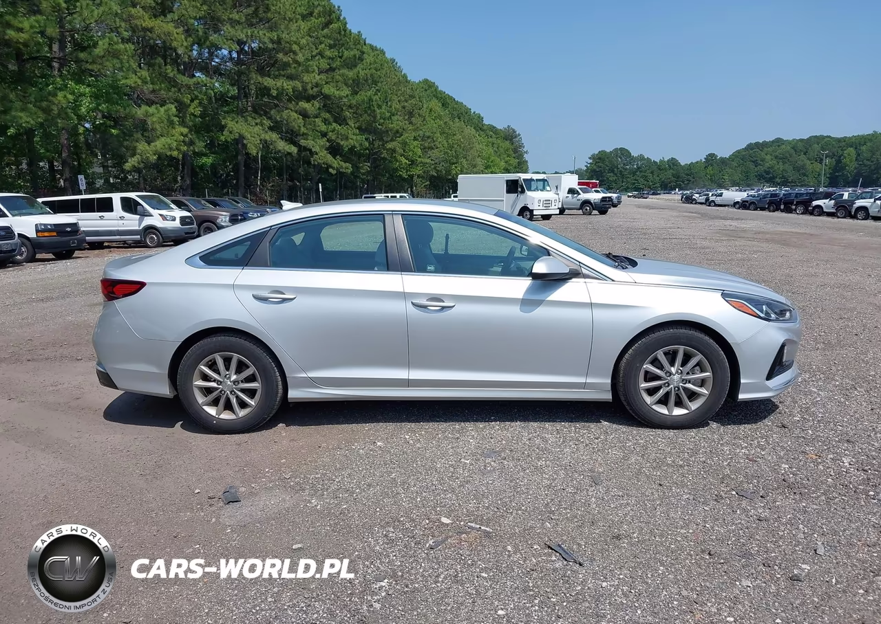 2019 Hyundai Sonata Eco VIN:5NPE24AA1KH803159 - 13
