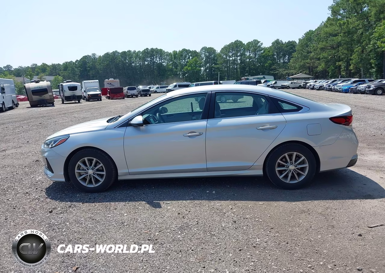 2019 Hyundai Sonata Eco VIN:5NPE24AA1KH803159 - 14