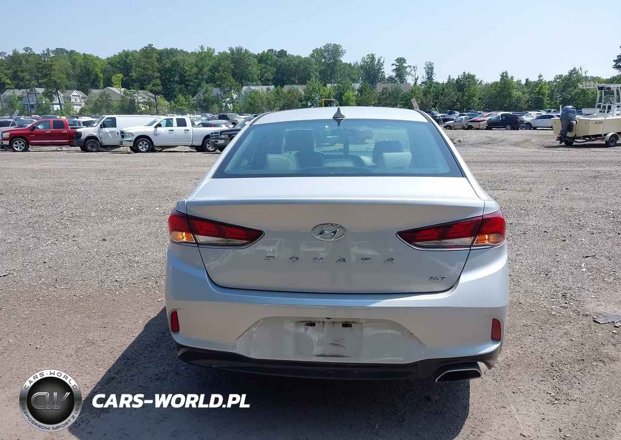 2019 Hyundai Sonata Eco VIN:5NPE24AA1KH803159 - 16