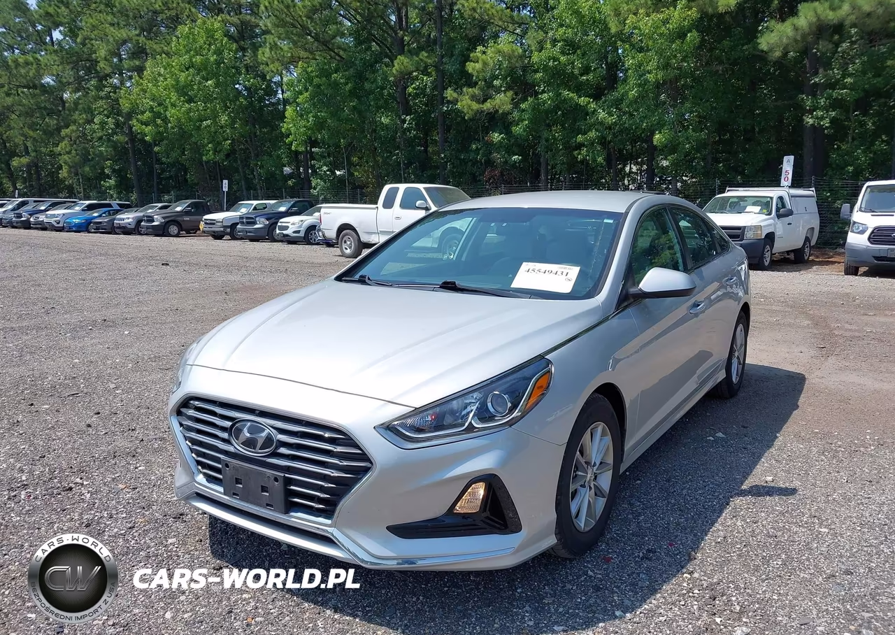 2019 Hyundai Sonata Eco VIN:5NPE24AA1KH803159 - 2
