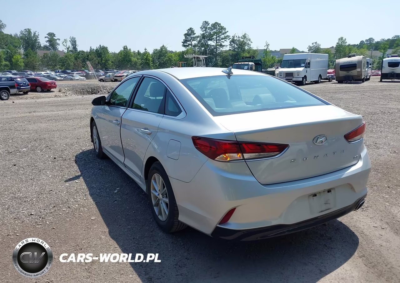 2019 Hyundai Sonata Eco VIN:5NPE24AA1KH803159 - 3