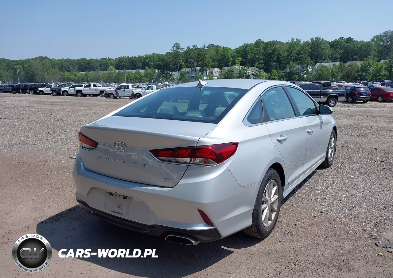 2019 Hyundai Sonata Eco VIN:5NPE24AA1KH803159 - 4