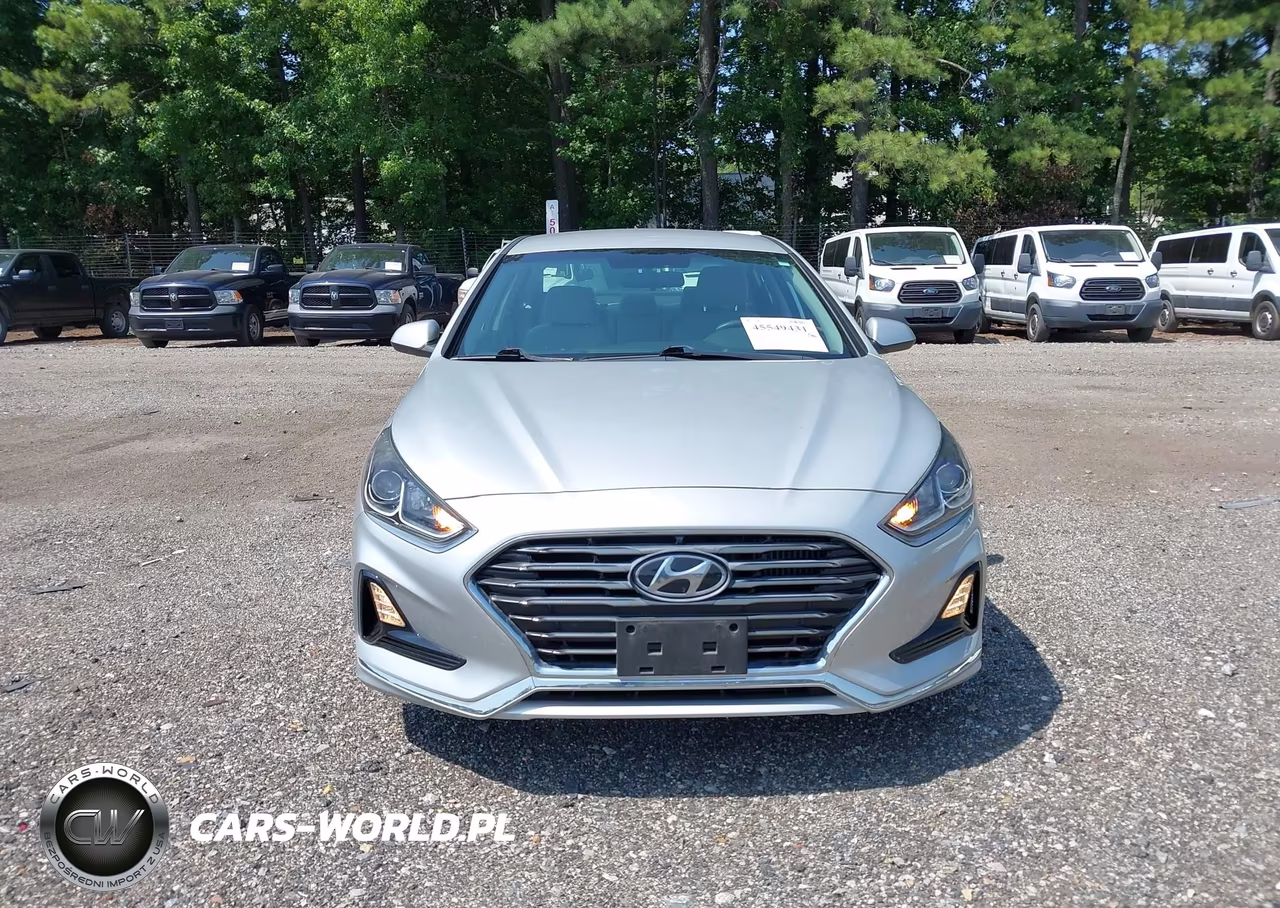 2019 Hyundai Sonata Eco VIN:5NPE24AA1KH803159 - 6