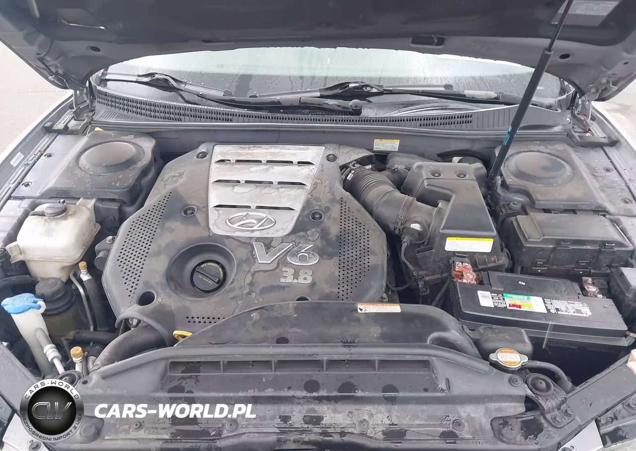 2008 Hyundai Azera Limited VIN:KMHFC46F98A254411 - 10
