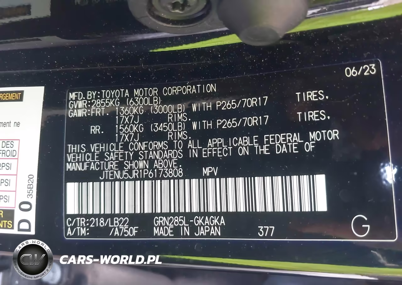 2023 Toyota 4Runner Sr5 Premium VIN:JTENU5JR1P6173808 - 9