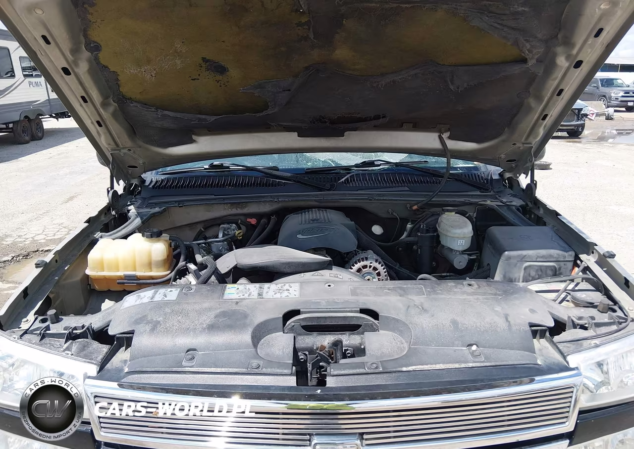 2003 Chevrolet Silverado 1500 Ls VIN:2GCEC19T731333613 - 10