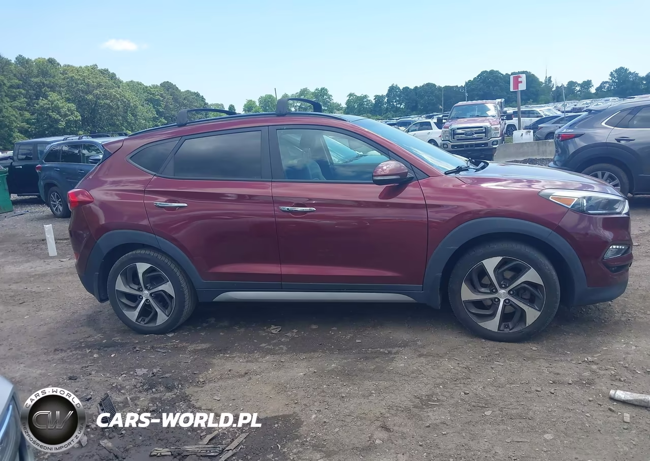 2017 Hyundai Tucson Limited VIN:KM8J3CA25HU304227 - 13