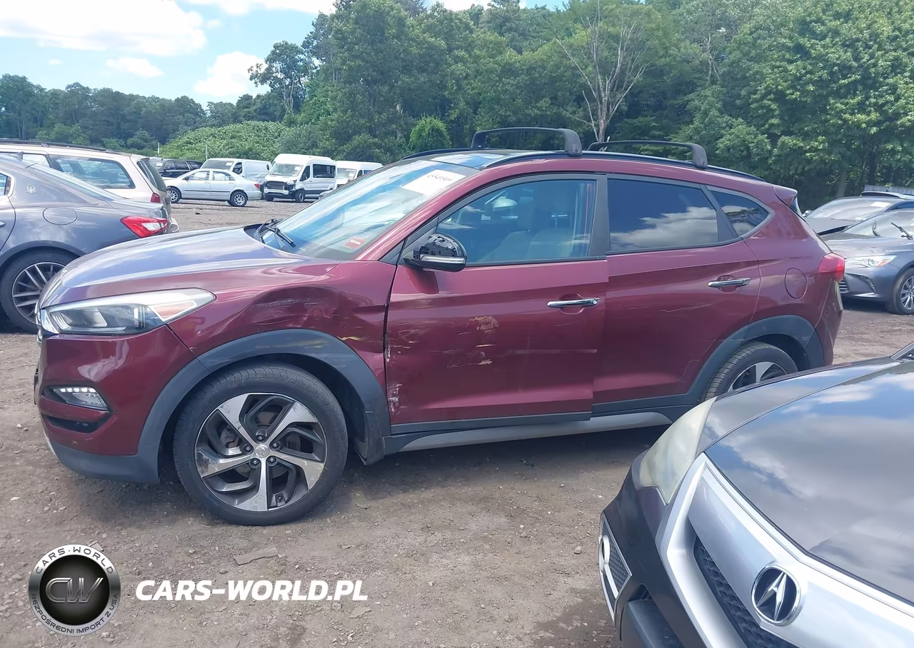 2017 Hyundai Tucson Limited VIN:KM8J3CA25HU304227 - 14