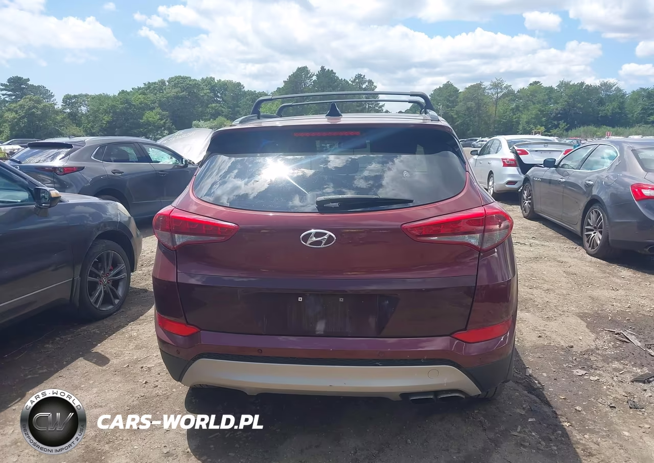 2017 Hyundai Tucson Limited VIN:KM8J3CA25HU304227 - 16