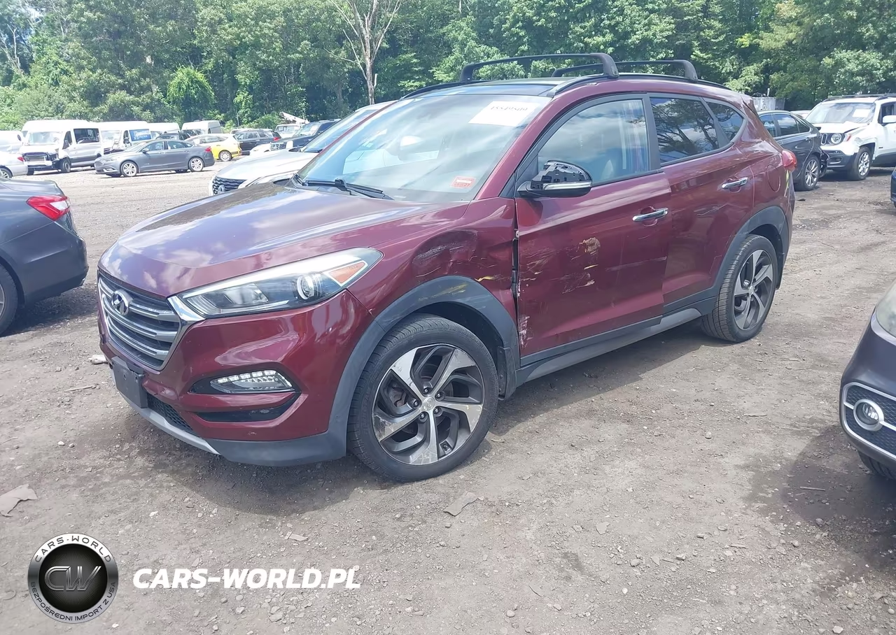 2017 Hyundai Tucson Limited VIN:KM8J3CA25HU304227 - 2