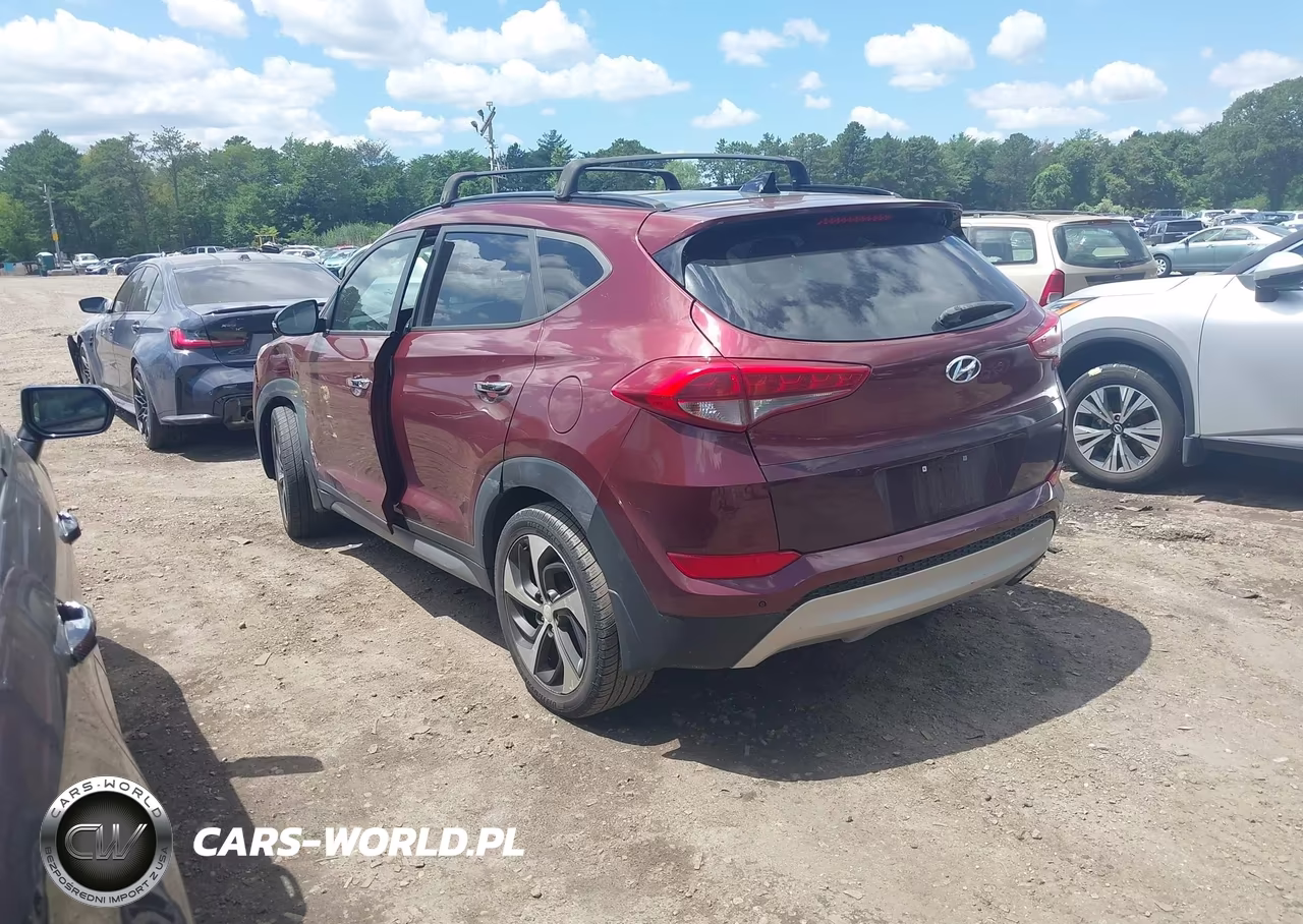 2017 Hyundai Tucson Limited VIN:KM8J3CA25HU304227 - 3