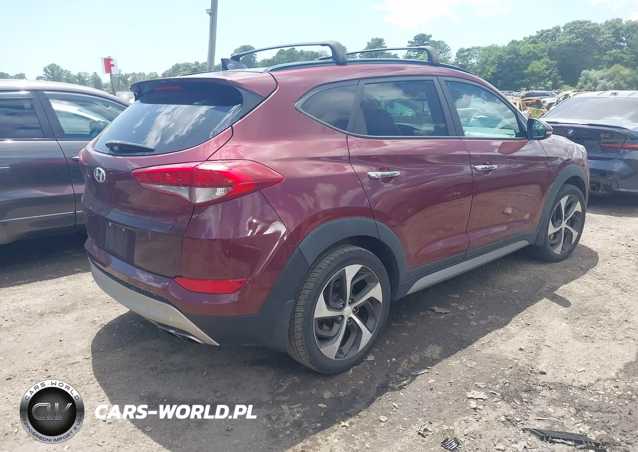 2017 Hyundai Tucson Limited VIN:KM8J3CA25HU304227 - 4