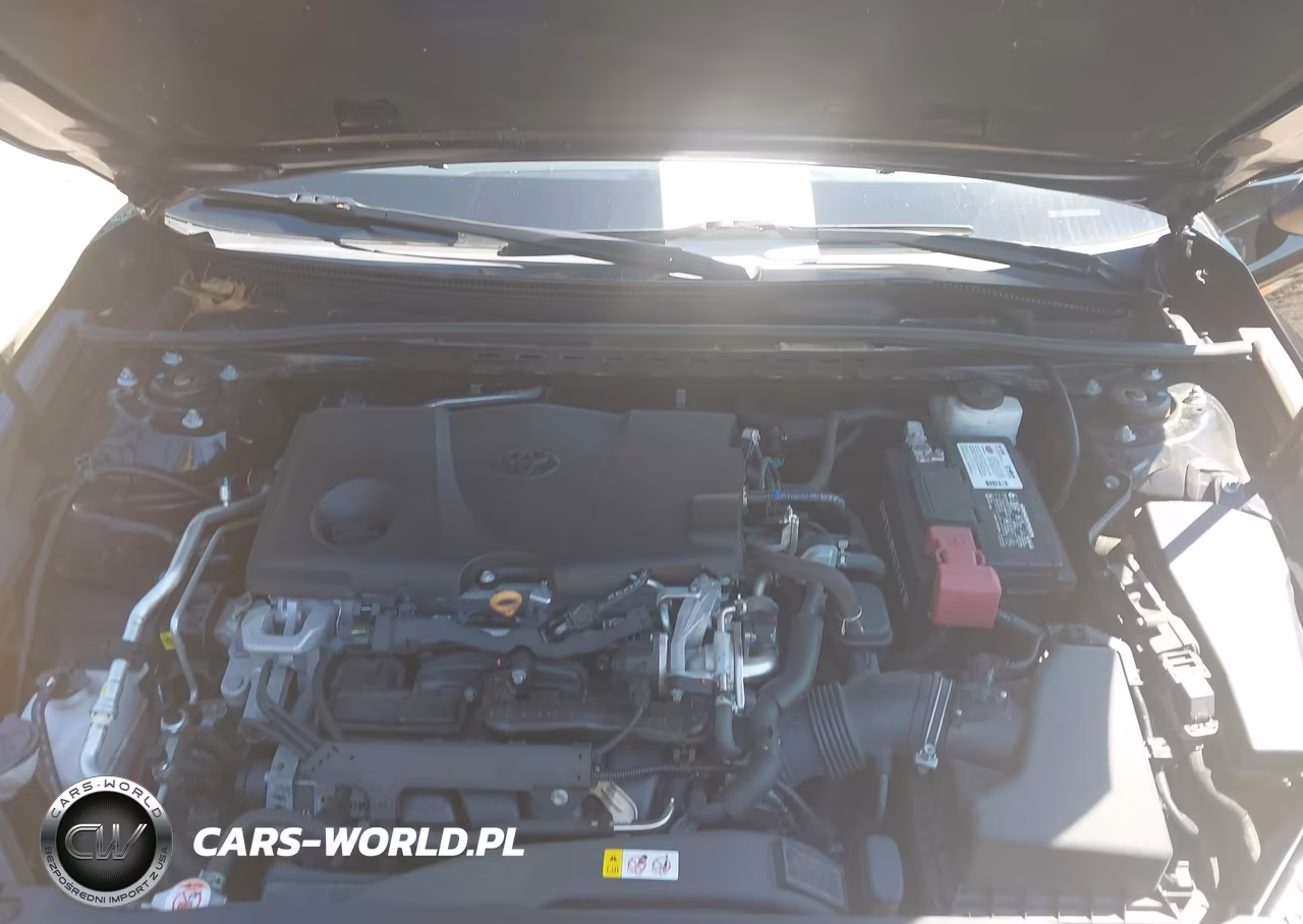 2019 Toyota Camry Se VIN:4T1B11HK7KU849129 - 10