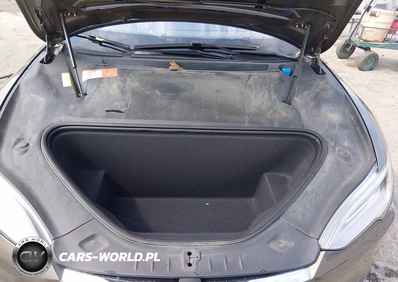 2016 Tesla Model S 60-70-75-85 VIN:5YJSA1E12GF146618 - 10
