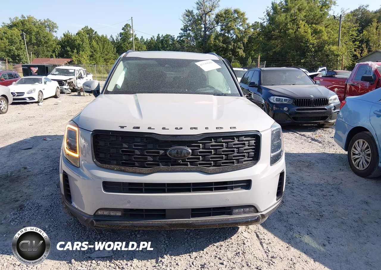 2021 Kia Telluride Sx VIN:5XYP5DHC1MG174813 - 13