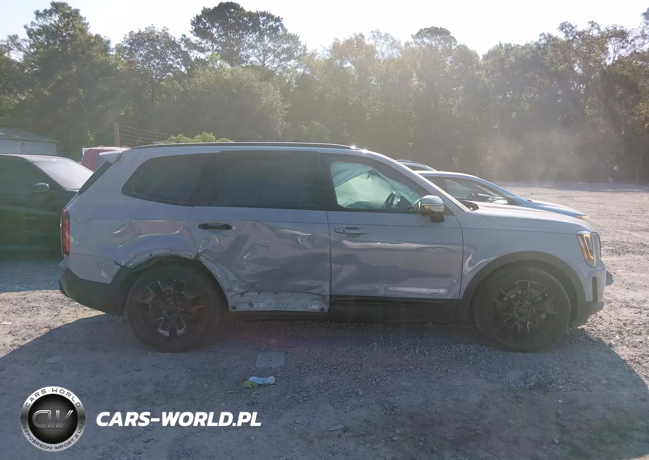 2021 Kia Telluride Sx VIN:5XYP5DHC1MG174813 - 14