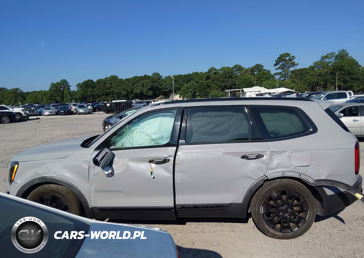 2021 Kia Telluride Sx VIN:5XYP5DHC1MG174813 - 15