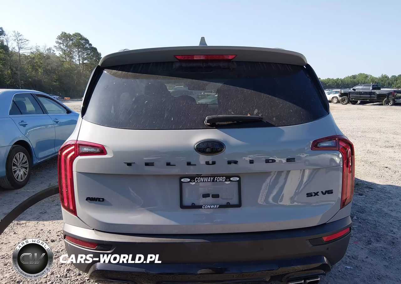 2021 Kia Telluride Sx VIN:5XYP5DHC1MG174813 - 17
