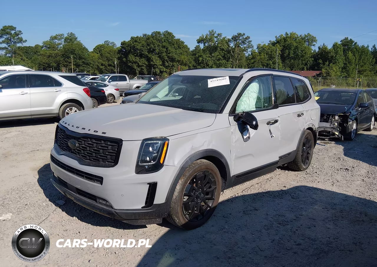 2021 Kia Telluride Sx VIN:5XYP5DHC1MG174813 - 2
