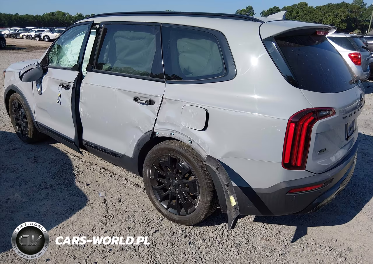 2021 Kia Telluride Sx VIN:5XYP5DHC1MG174813 - 3