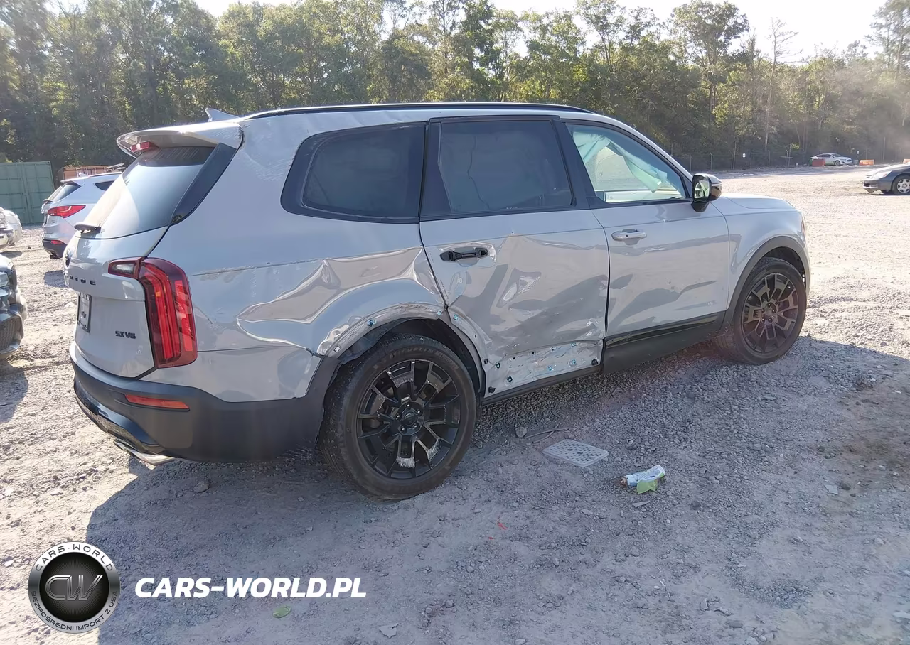 2021 Kia Telluride Sx VIN:5XYP5DHC1MG174813 - 4