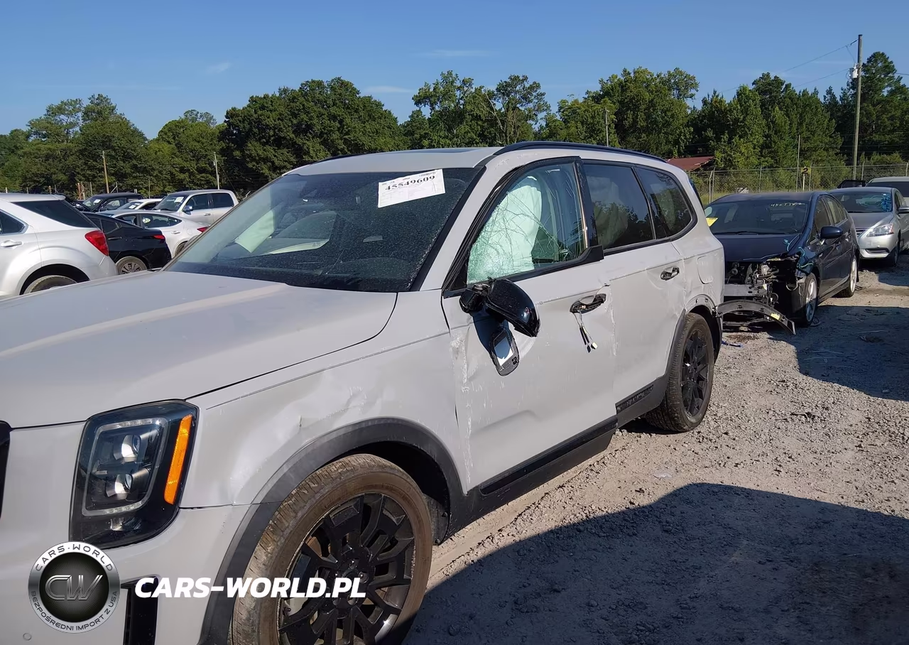 2021 Kia Telluride Sx VIN:5XYP5DHC1MG174813 - 6