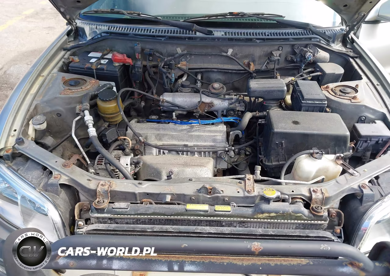 2000 Toyota Rav4 VIN:JT3HP10V8Y7158108 - 10